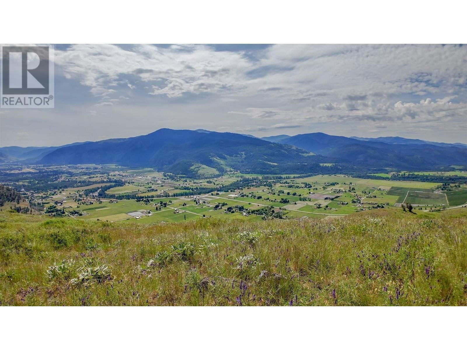 Primary Property View
