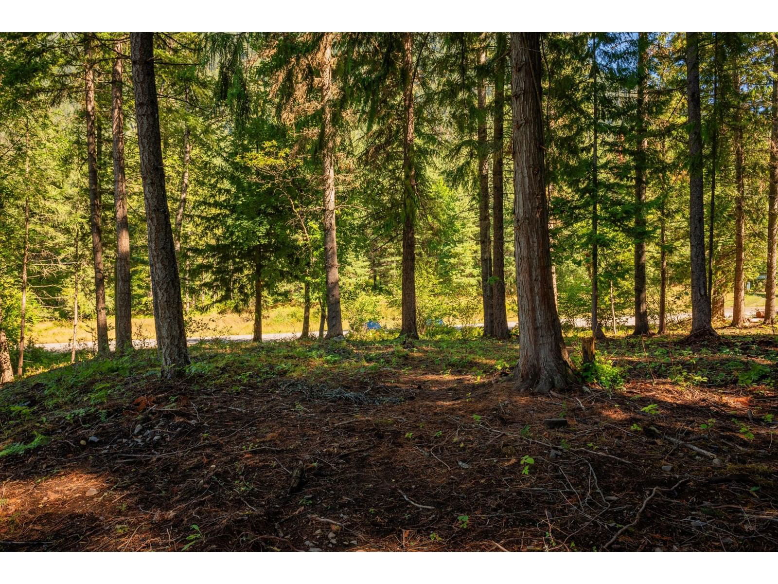 Lot A DENVER SIDING ROAD Image 18