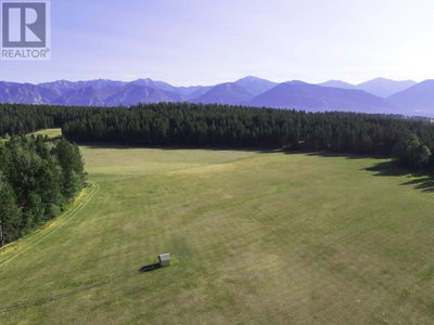 DL7156 POTTER Road | Invermere British Columbia | Slide Image Thirteen