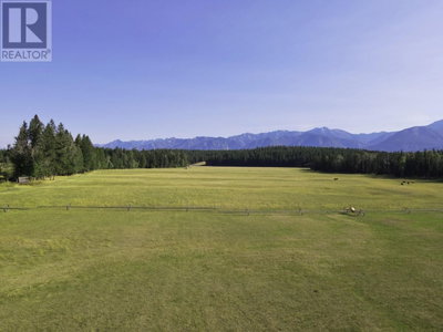 DL7156 POTTER Road | Invermere British Columbia | Slide Image Sixteen