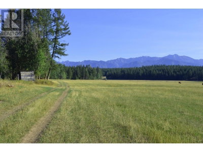 DL7156 POTTER Road | Invermere British Columbia | Slide Image Eighteen