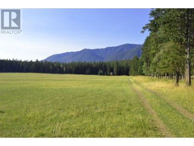 DL7156 POTTER Road | Invermere British Columbia | Slide Image Twenty