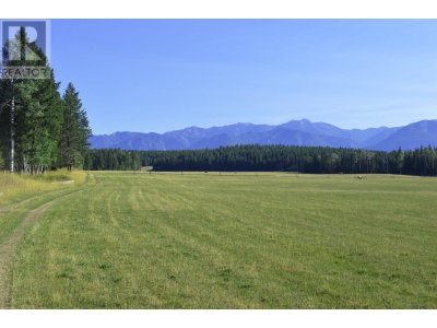 DL7156 POTTER Road | Invermere British Columbia | Slide Image Twenty-one