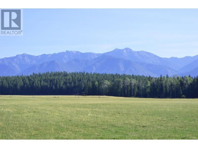 DL7156 POTTER Road | Invermere British Columbia | Slide Image Twenty-two
