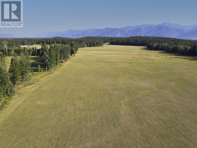 DL7156 POTTER Road | Invermere British Columbia | Slide Image Four