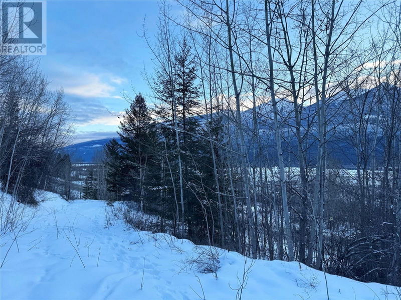 Tertiary Property View