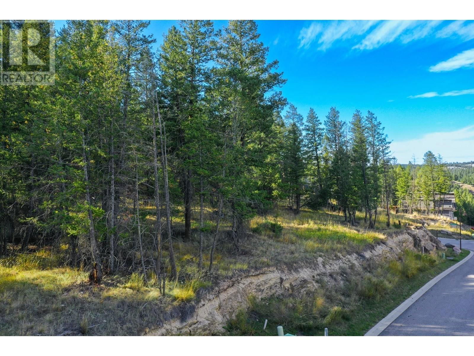 Lot 49 PINE RIDGE MOUNTAIN Place Image 10