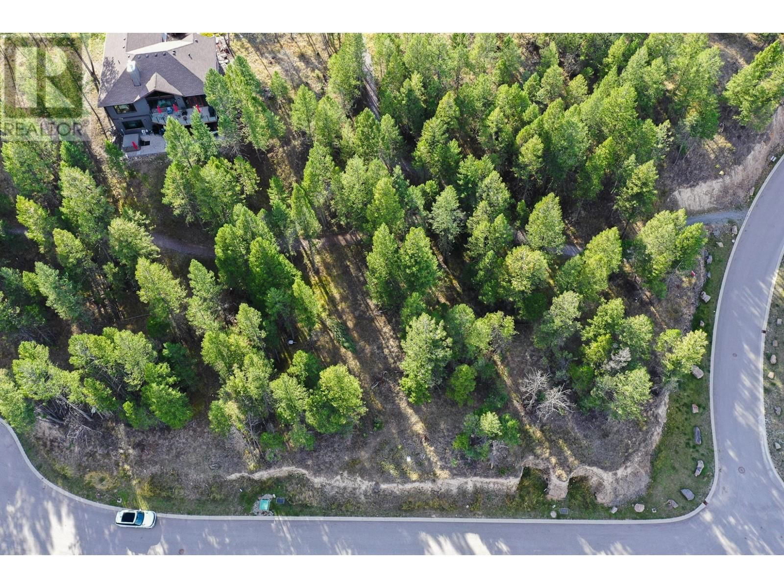 Lot 49 PINE RIDGE MOUNTAIN Place Image 3