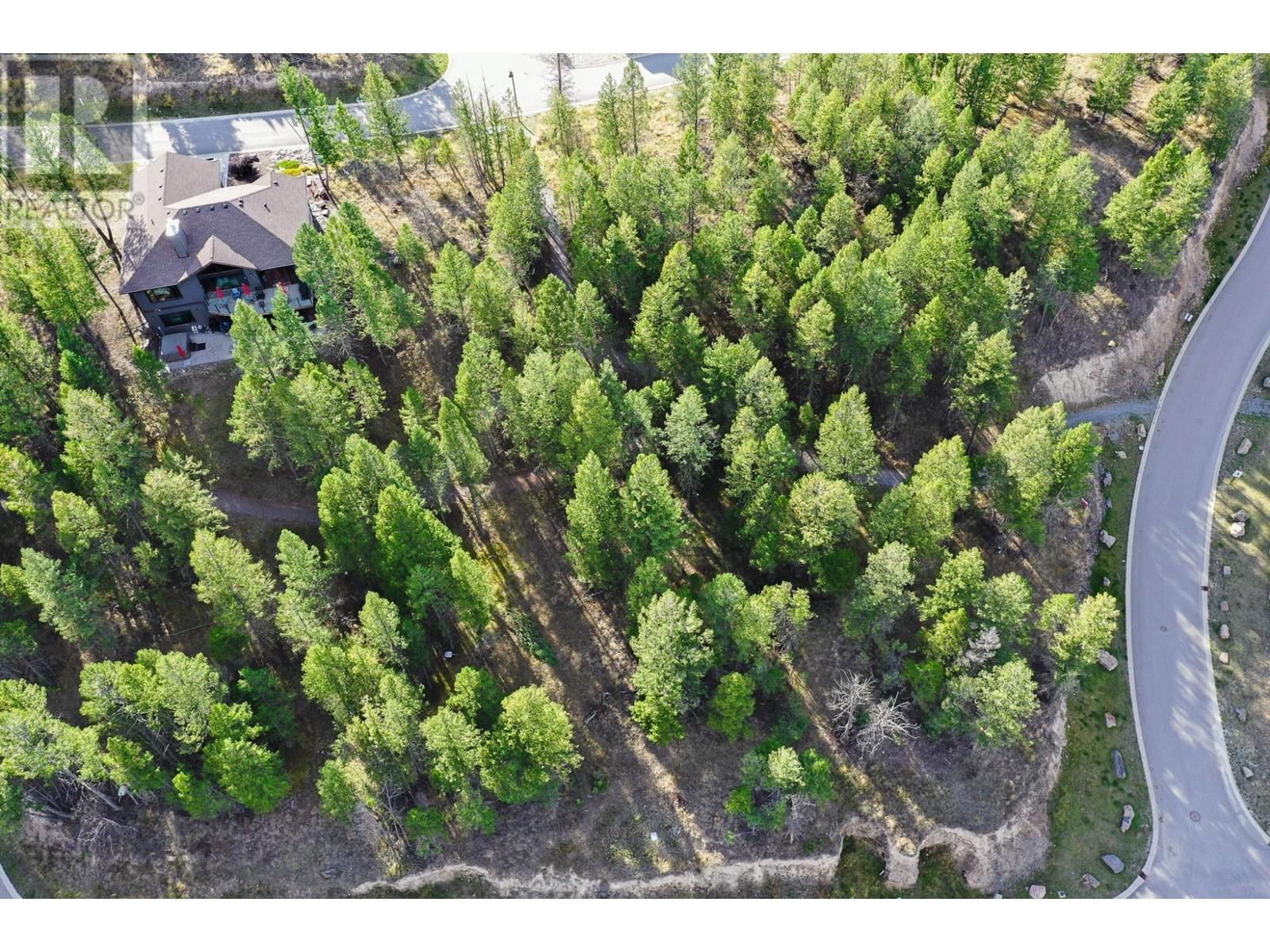 Lot 49 PINE RIDGE MOUNTAIN Place Image 4