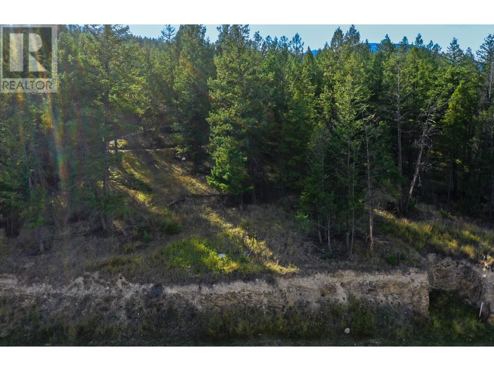 Lot 49 PINE RIDGE MOUNTAIN Place Image 5