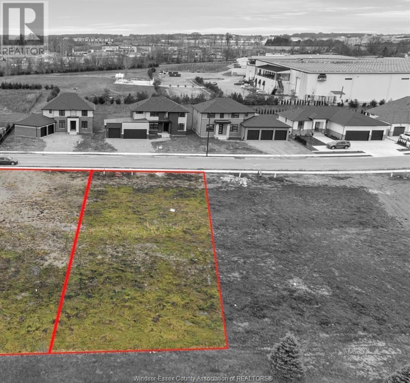 Primary Property View