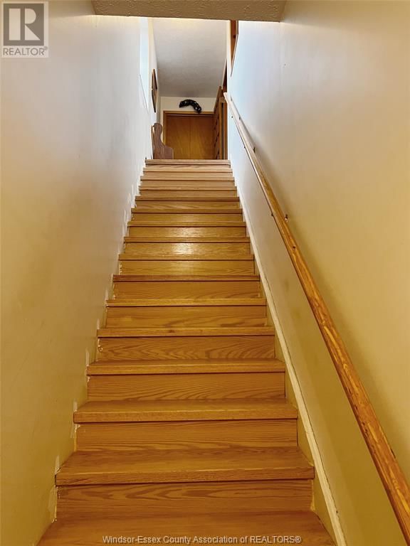 42 HARVEY STREET Image 20