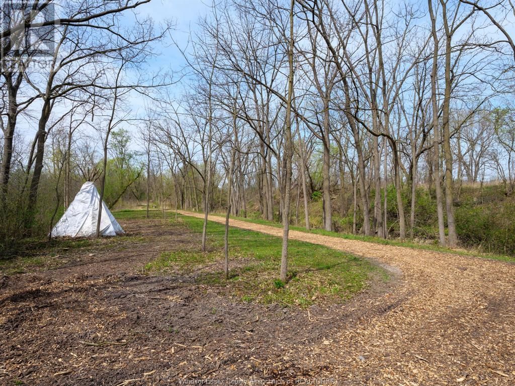 453 ELMSTEAD Image 16
