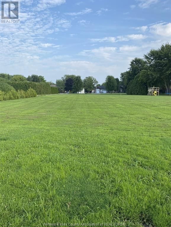 Primary Property View