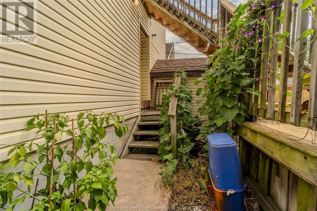 491 ELM Image 25