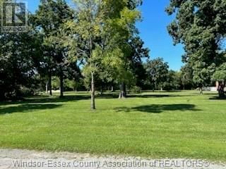Secondary Property View