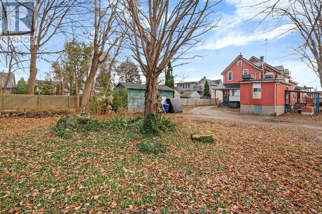 5 NELSON Image 11