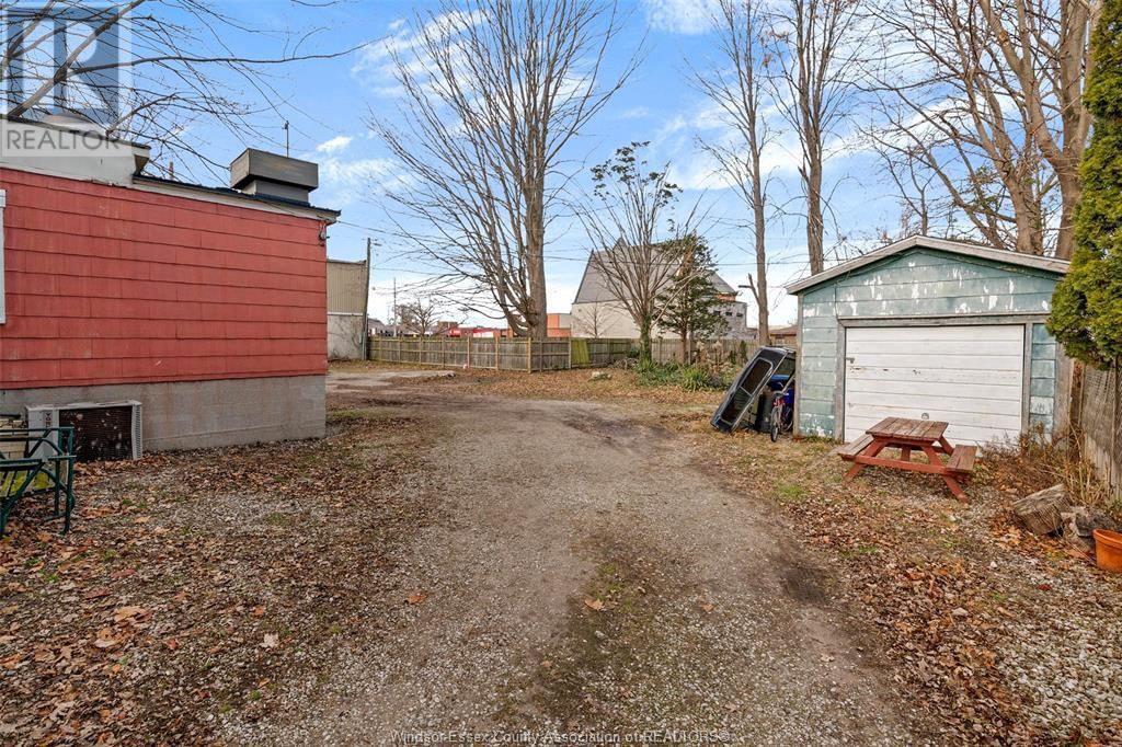 5 NELSON Image 12