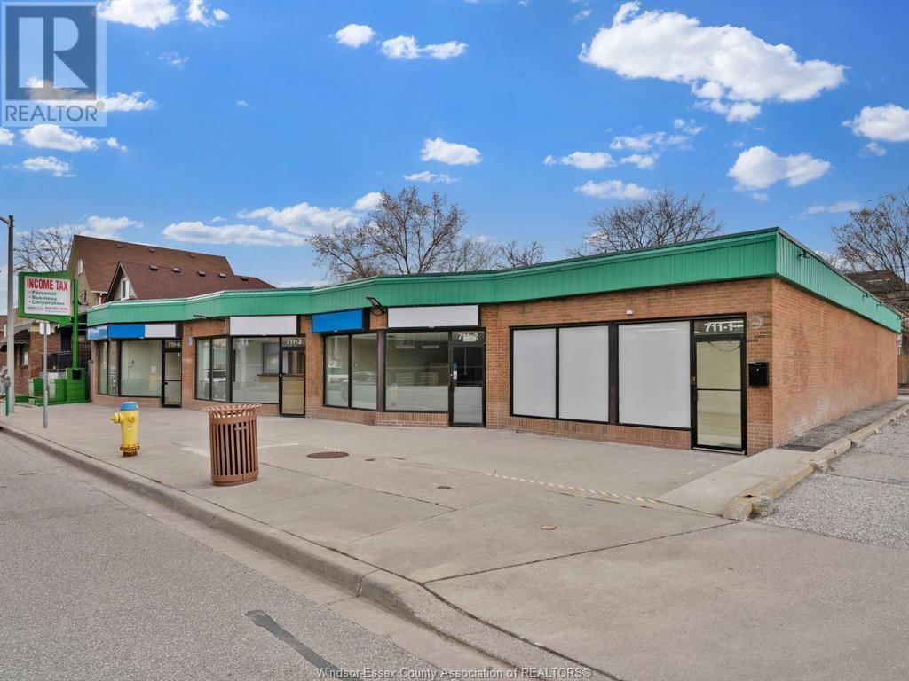 711-719 PELISSIER STREET Image 3