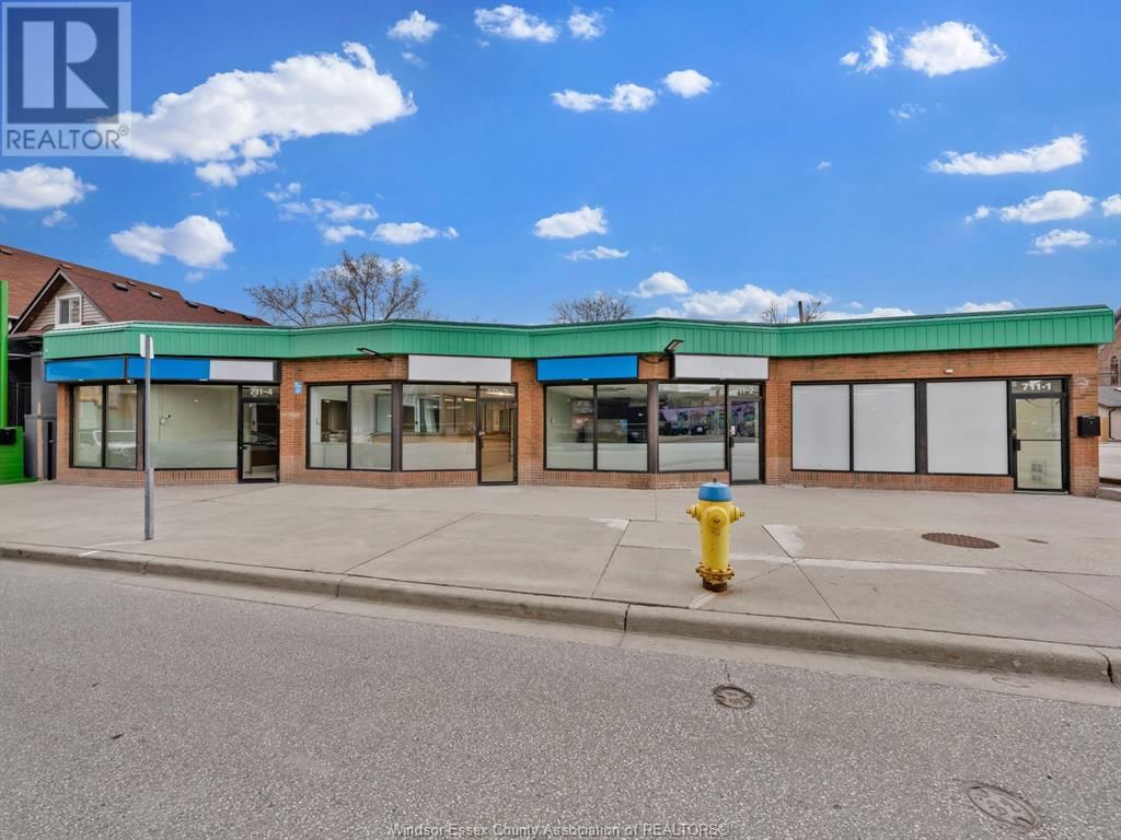 711-719 PELISSIER STREET Image 4
