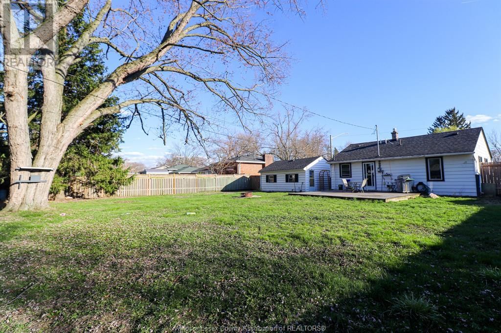 431 MAPLE Image 22
