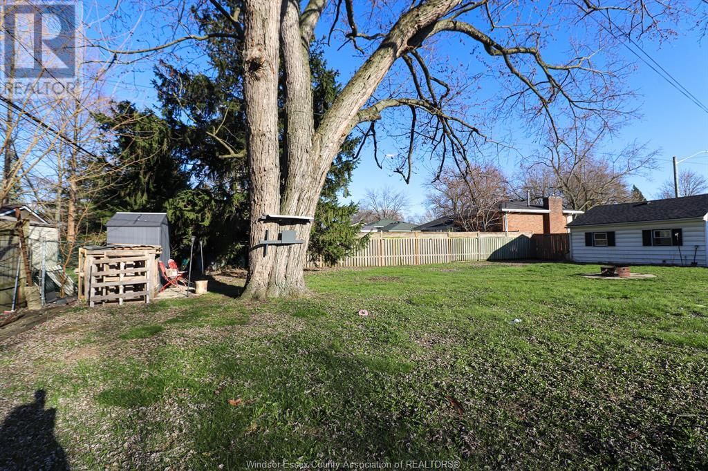 431 MAPLE Image 23