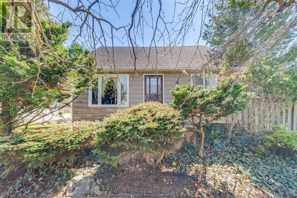 790 MAPLE AVENUE Image 3