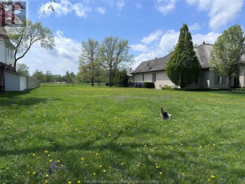 Tertiary Property View