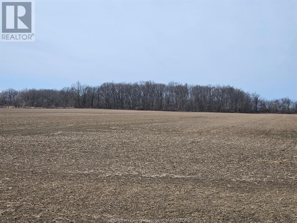 V/L CONCESSION 10 Image 3