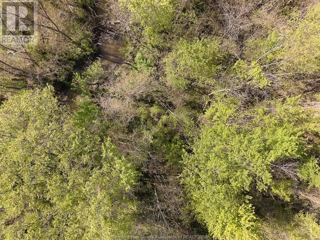 564 2 ROAD WEST Image 38
