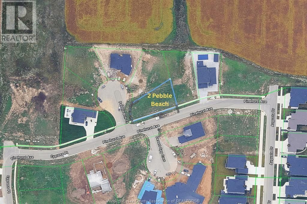 Primary Property View