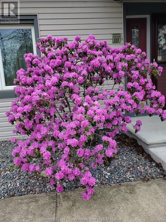 859 ISABELLE PLACE Image 30