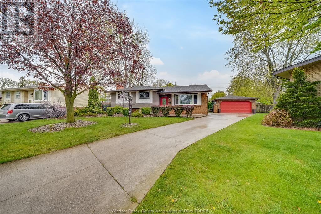 3990 MYRTLE AVENUE Image 4