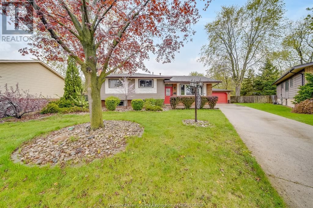 3990 MYRTLE AVENUE Image 6
