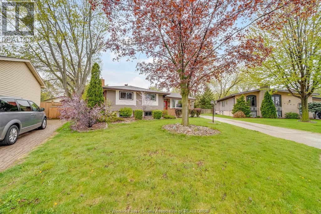3990 MYRTLE AVENUE Image 7
