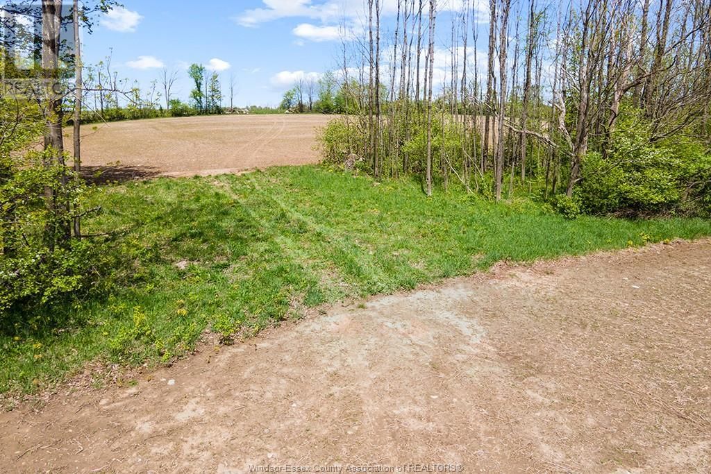 4 CONCESSION  3A ROAD Image 18