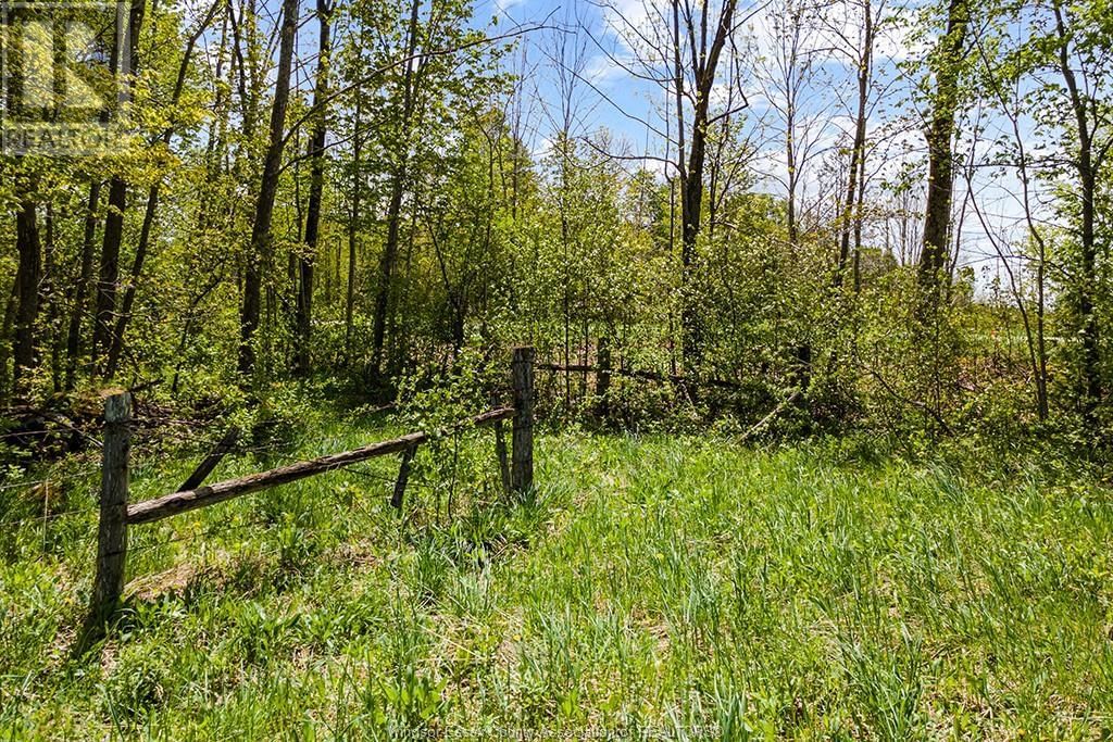4 CONCESSION  3A ROAD Image 25