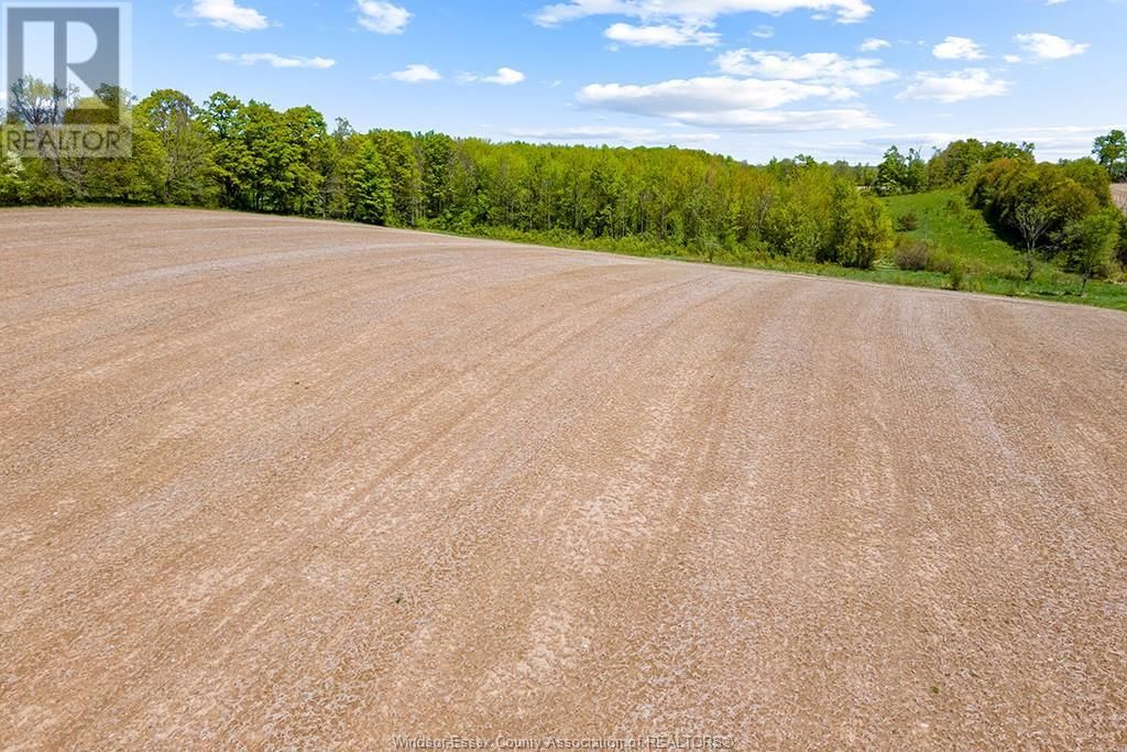 4 CONCESSION  3A ROAD Image 33