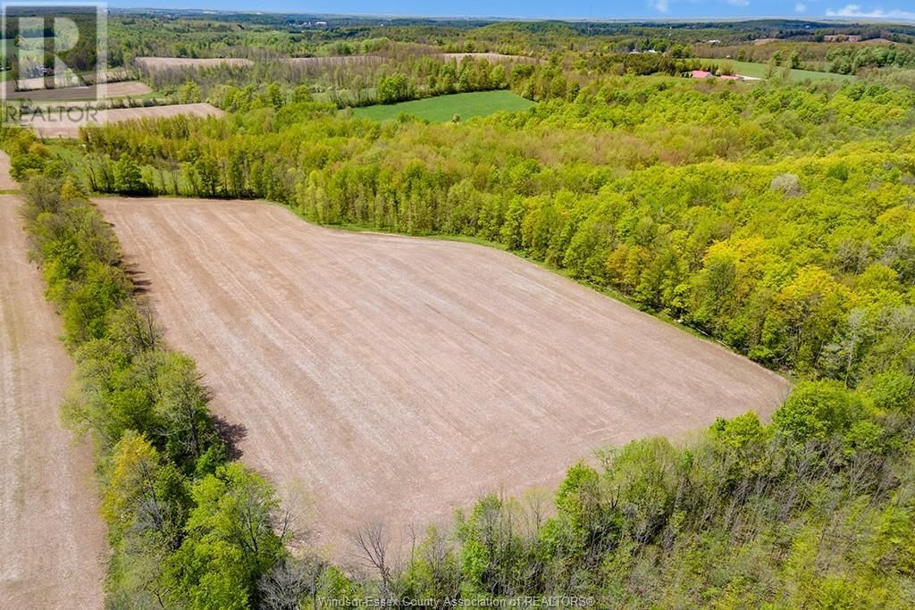 4 CONCESSION  3A ROAD Image 35