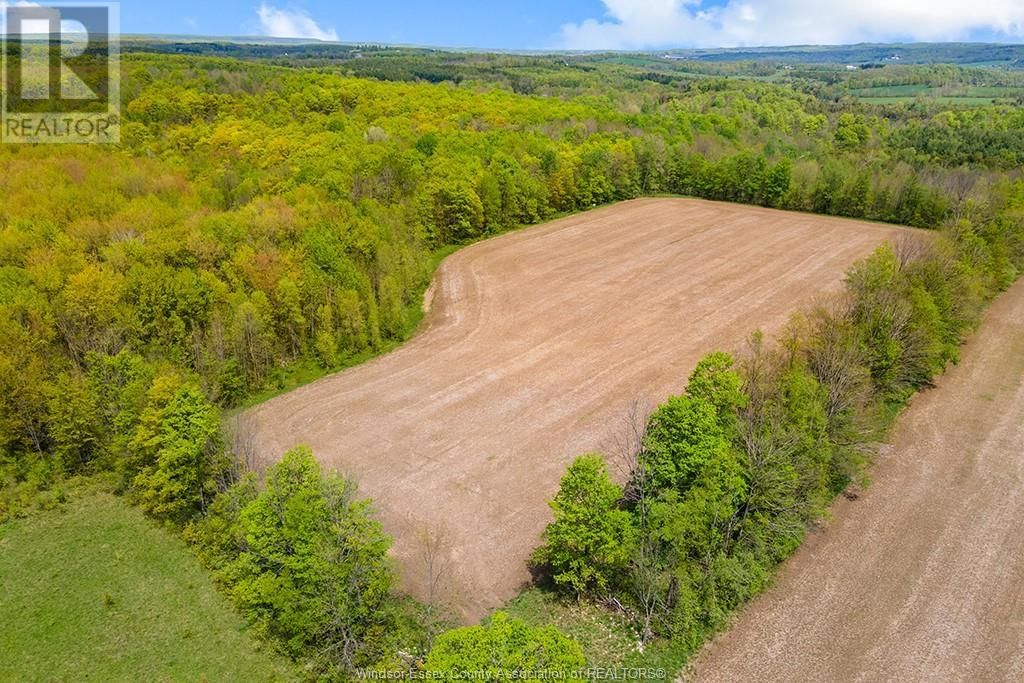4 CONCESSION  3A ROAD Image 36