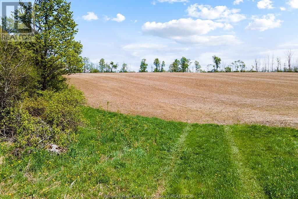 4 CONCESSION  3A ROAD Image 37