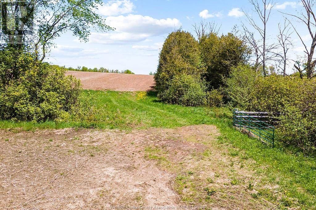 4 CONCESSION  3A ROAD Image 38
