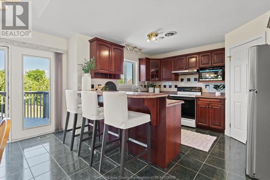 4195 ONGARO Image 12