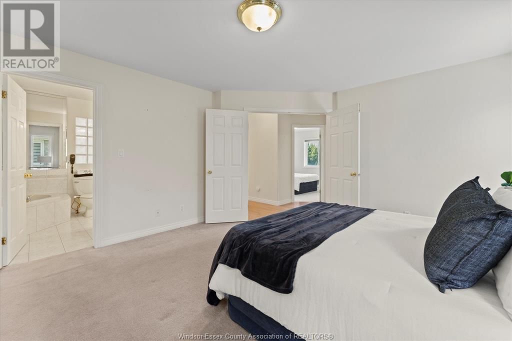 4195 ONGARO Image 17