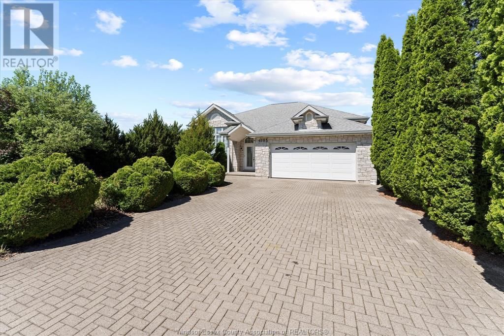 4195 ONGARO Image 3