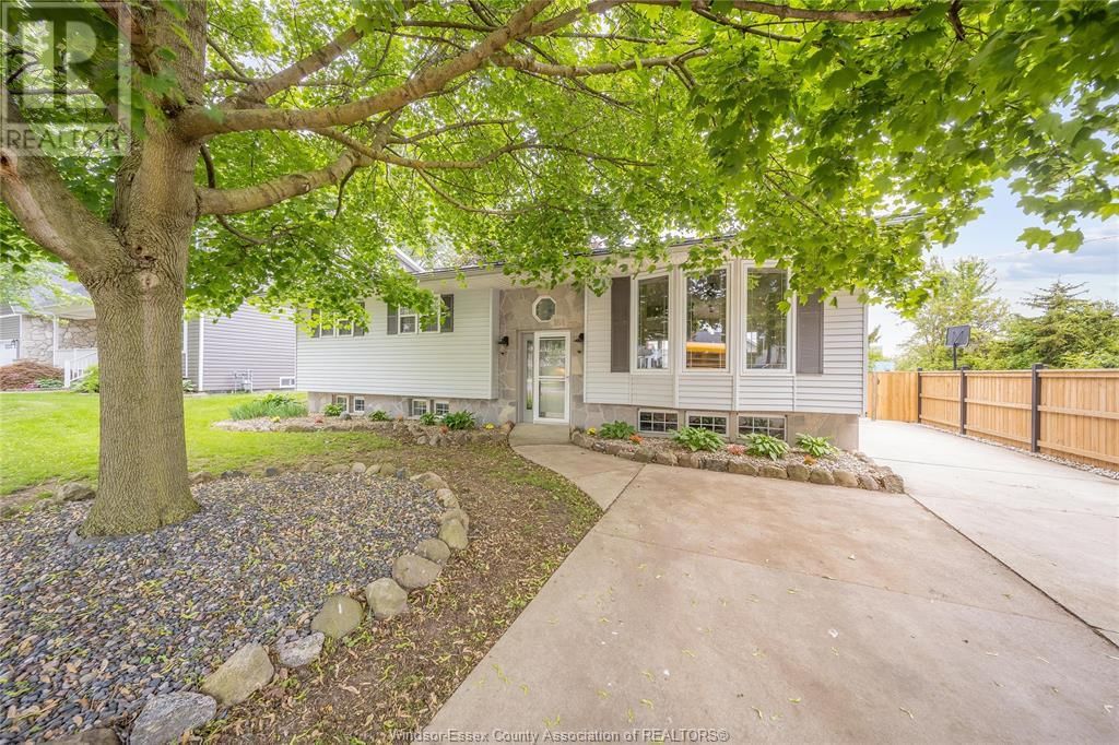 Primary Property View