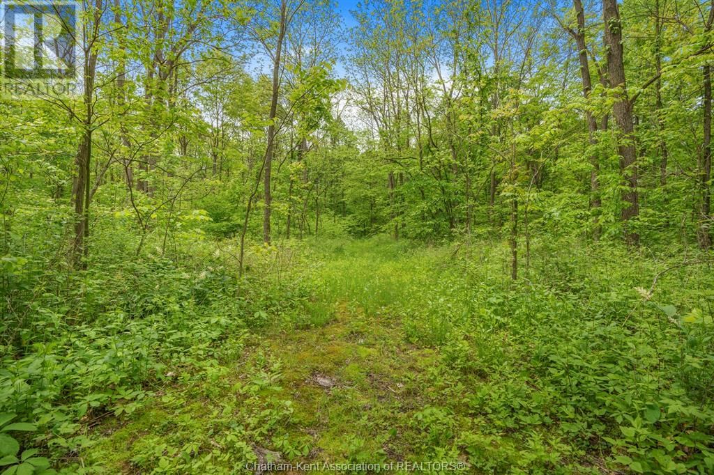 15895 LONGWOODS ROAD Image 24