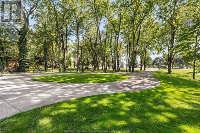 Tertiary Property View