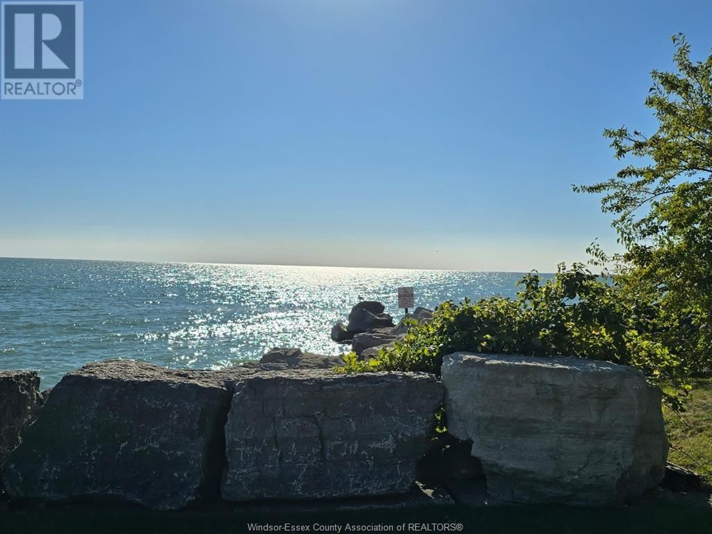 643 POINT PELEE DRIVE Image 46