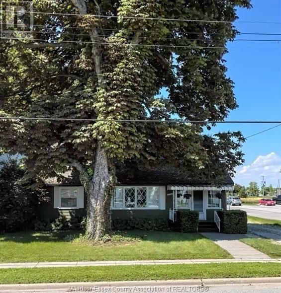 Primary Property View